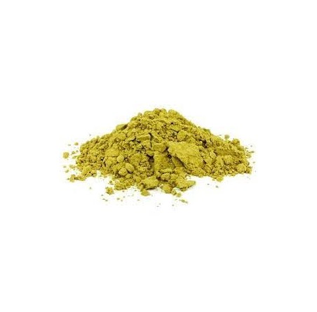 Natural pure & Premium Ginkgo Biloba Extract Powder 100g | £15.99 | Organic Supplements Natural Thrive Natural Thrive