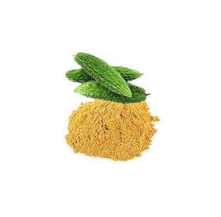 Natural pure & Premium Karela Extract Powder 100g | £7.99 | Organic Fruit Powders Natural Thrive Natural Thrive