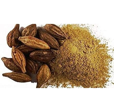 Natural pure & Premium Haritaki Extract Powder 100g | £12.99 | Natural Powder Supplements Natural Thrive Natural Thrive