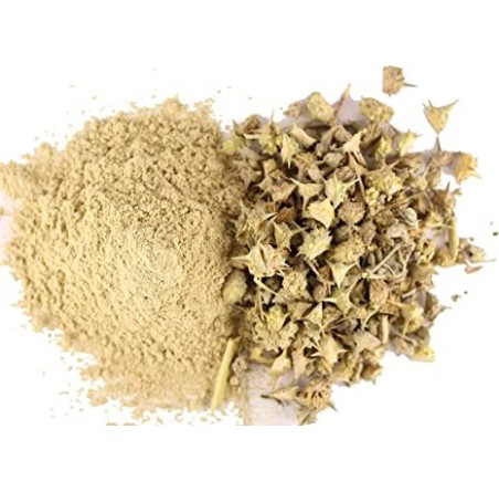 Natural Pure & Premium Tribulus Terrestris Extract Powder Capsules 600mg (Gokhru) | £10.99 | Natural Powder Supplements Natural Thrive Natural Thrive