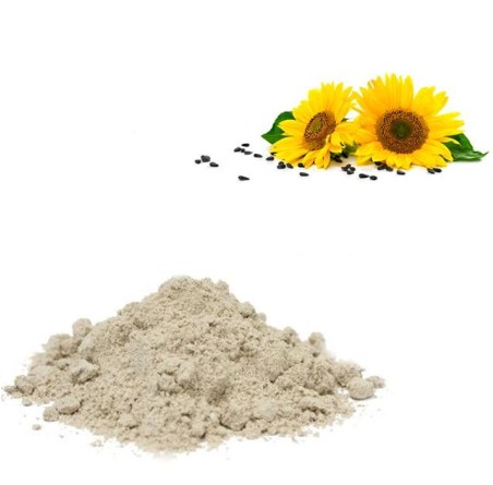 Natural Pure & Premium Sunflower Seed Protein Powder 100g | £6.99 | Natural Powder Supplements Natural Thrive Natural Thrive