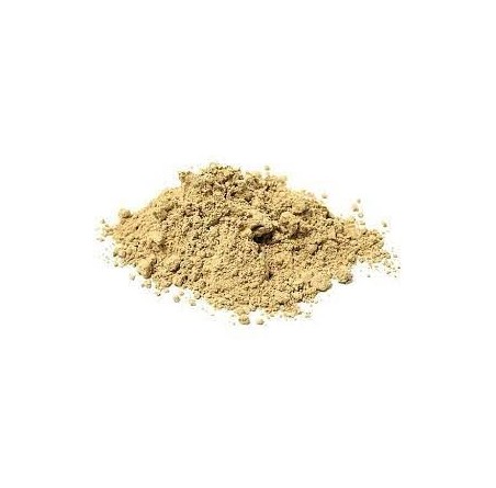 Organic Maitake Mushroom 100g Powder | £13.99 | Mushroom Supplements Natural Thrive Natural Thrive