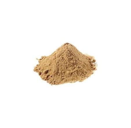 Organic Lions Mane (Hericium Erinaceus) Extract Powder 100g | £13.99 | Mushroom Supplements Natural Thrive Natural Thrive