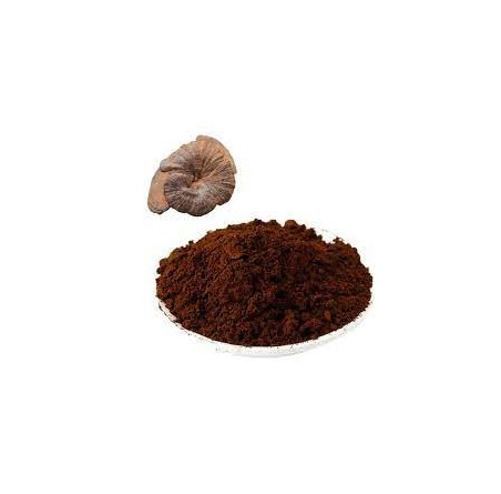 Ganoderma Spore Organic Lingzhi Mushroom Extract Powder 100g | £9.99 | Mushroom Supplements Natural Thrive Natural Thrive