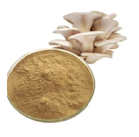 Organic Oyster Mushroom (Pleurotus Ostreatus) Extract Powder 100g | £12.99 | Mushroom Supplements Natural Thrive Natural Thrive