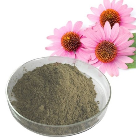 Natural Pure & Premium Echinacea Extract Powder100g | £10.99 | Natural Powder Supplements Natural Thrive Natural Thrive