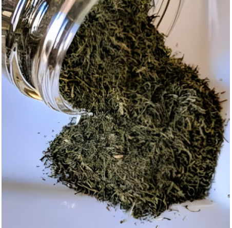 Natural Pure & Premium Spearmint Pudina (Mentha Spicata) Cut Tea 50g | £4.99 | Loose Leaf Tea Natural Thrive Natural Thrive