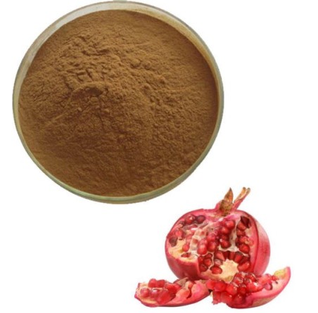 Natural Pure & Premium Pomegranate Fruit Extract Powder 100g | £10.99 | Organic Fruit Powders Natural Thrive Natural Thrive