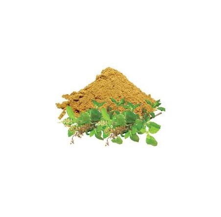 Natural Pure & Premium Holy Basil (Ocimum Sanctum) Extract Powder Capsules 600mg | £10.99 | Natural Powder Supplements Natural Thrive Natural Thrive