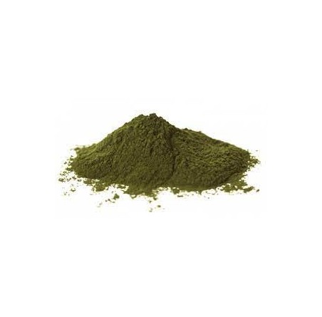 Natural Pure & Premium Kelp (Macrocystis Pyrifera) Extract Powder 100g | £14.99 | Natural Powder Supplements Natural Thrive Natural Thrive