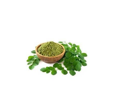 Natural Pure & Premium Moringa Oleifera (Drumstick Tree) Extract Powder Capsules 600mg | £6.99 | Natural Powder Supplements Natural Thrive Natural Thrive