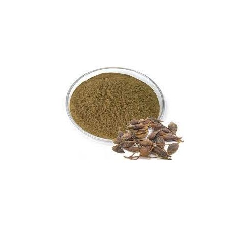 Natural pure & Premium Forsythia Extract Powder 100g | £24.99 | Natural Powder Supplements Natural Thrive Natural Thrive