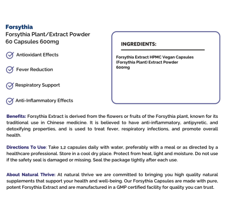 Natural pure & Premium Forsythia Extract Powder Capsules 600mg | £14.99 | Natural Powder Supplements Natural Thrive Natural Thrive